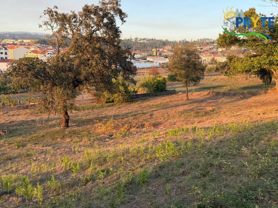 Terreno para Venda em Sertã Foto 94