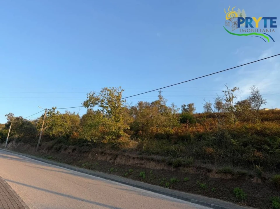 Terreno para Venda em Sertã Foto 88