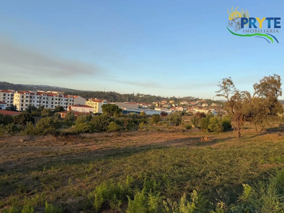 Terreno para Venda em Sertã Foto 101