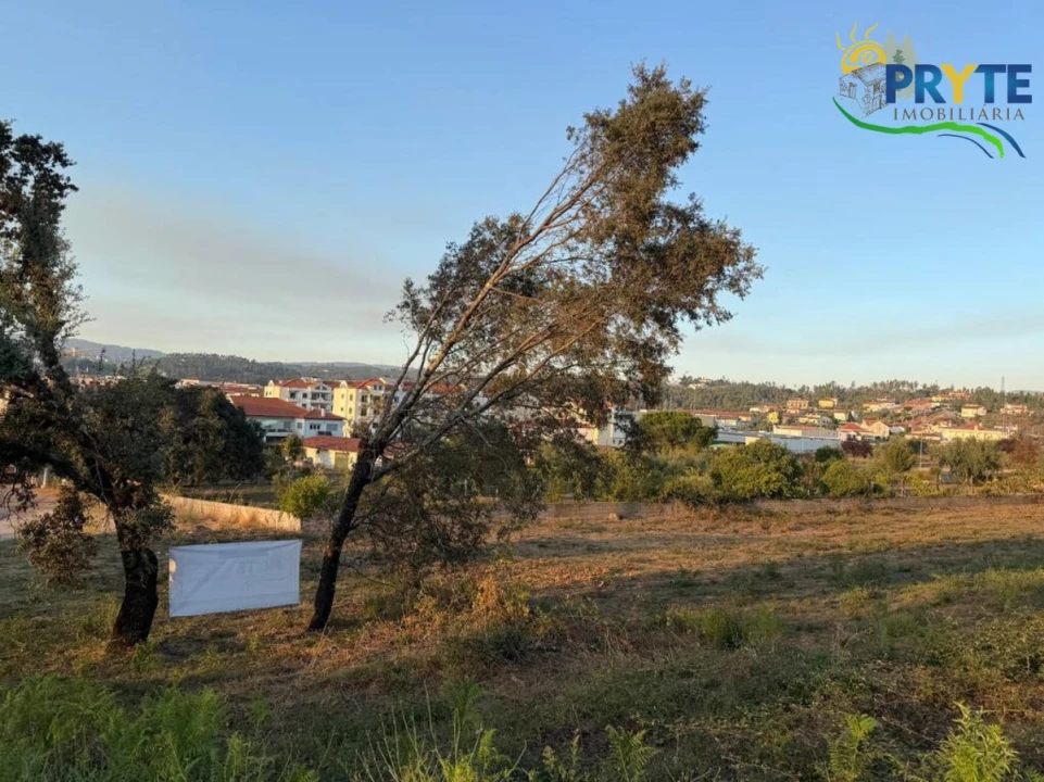 Terreno para Venda em Sertã Foto 102