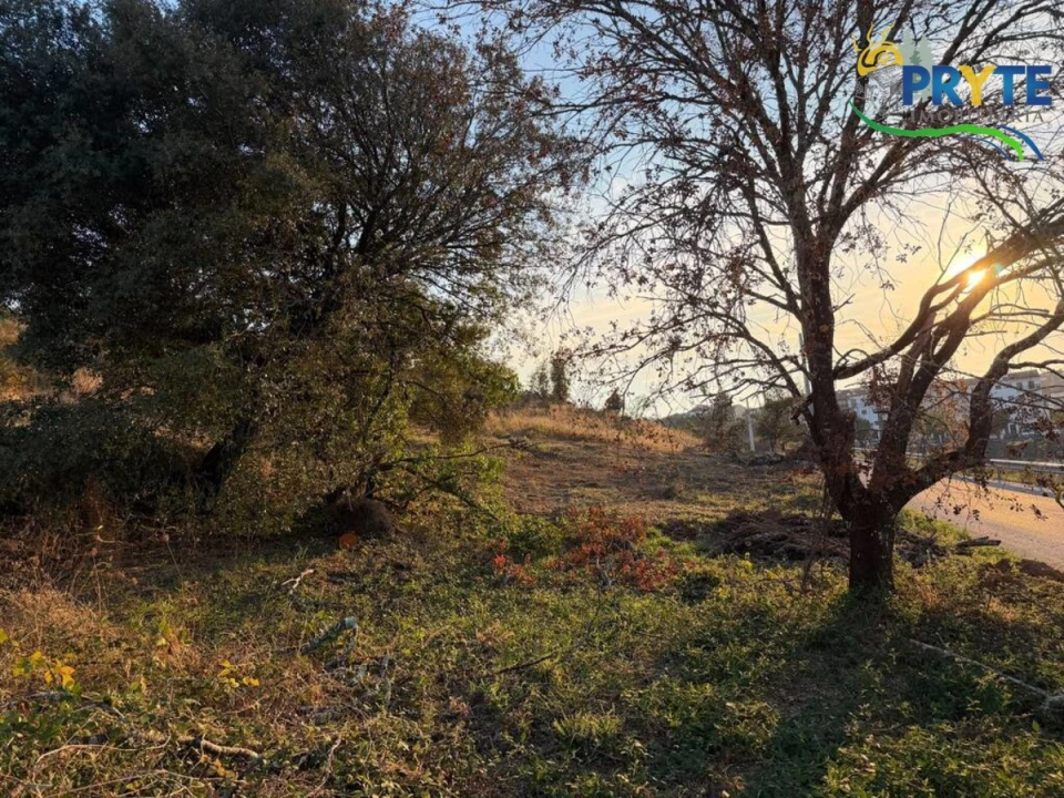 Terreno para Venda em Sertã Foto 114