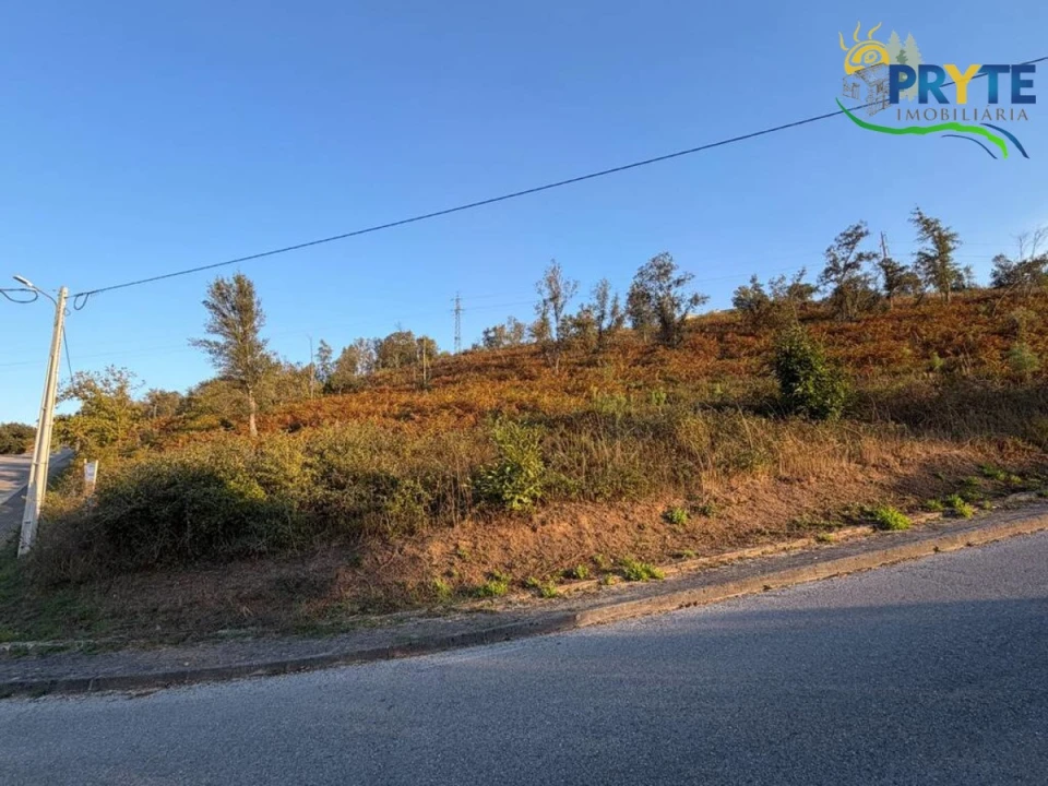 Terreno para Venda em Sertã Foto 62