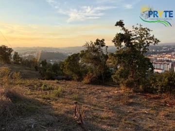 Terreno para Venda em Sertã