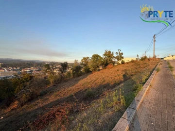 Terreno para Venda em Sertã