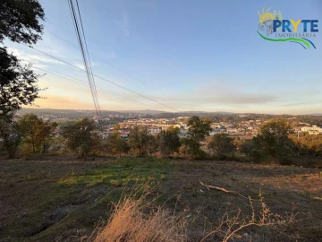 Terreno para Venda em Sertã
