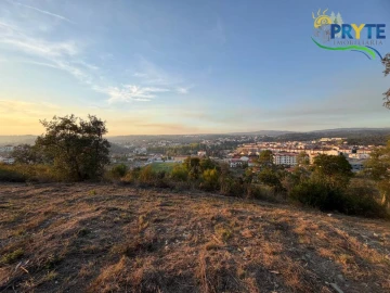 Terreno para Venda em Sertã