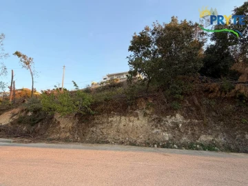 Terreno para Venda em Sertã