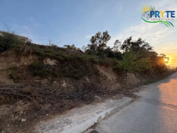 Terreno para Venda em Sertã