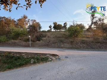 Terreno para Venda em Sertã