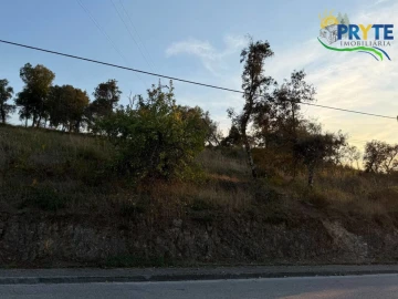Terreno para Venda em Sertã