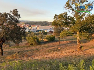 Terreno para Venda em Sertã