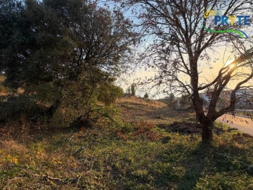 Terreno para Venda em Sertã