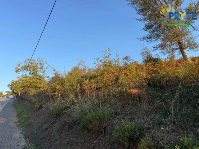 Terreno para Venda em Sertã Foto 4