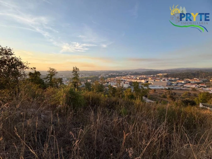 Terreno para Venda em Sertã Foto 17
