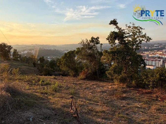 Terreno para Venda em Sertã Foto 18