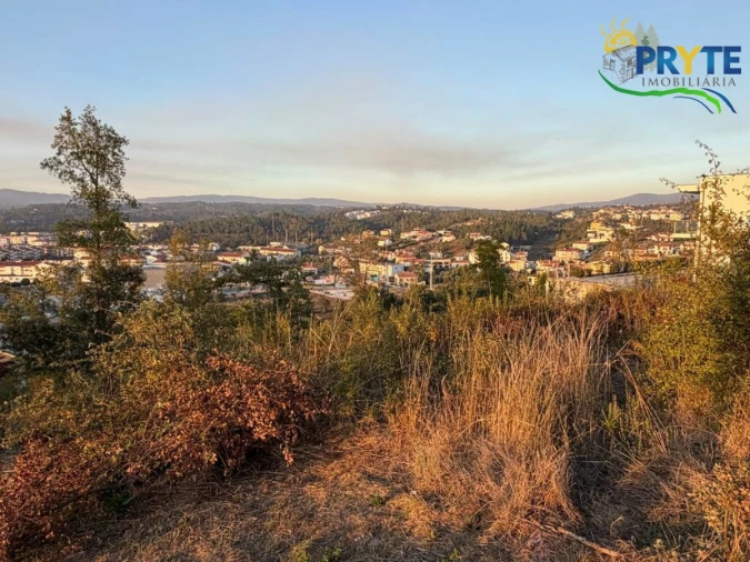 Terreno para Venda em Sertã Foto 19