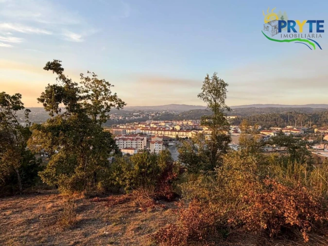 Terreno para Venda em Sertã Foto 22