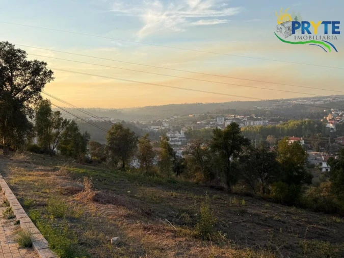 Terreno para Venda em Sertã Foto 35