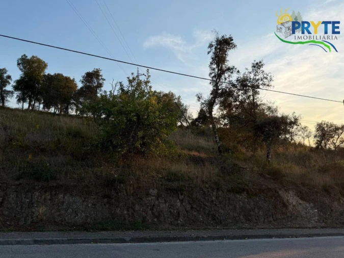 Terreno para Venda em Sertã Foto 75