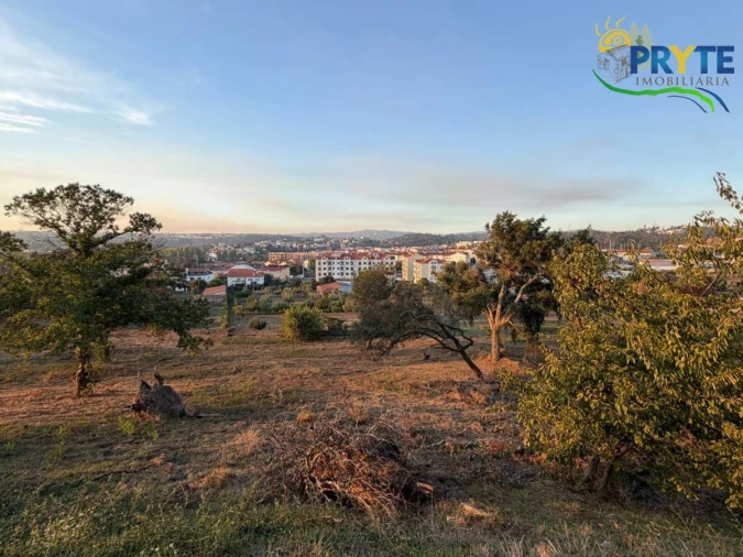 Terreno para Venda em Sertã Foto 81