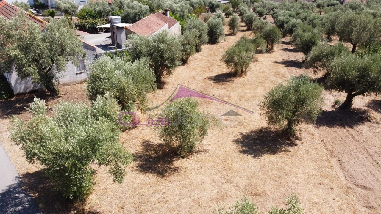 Terreno para Venda em Caxarias Foto 2