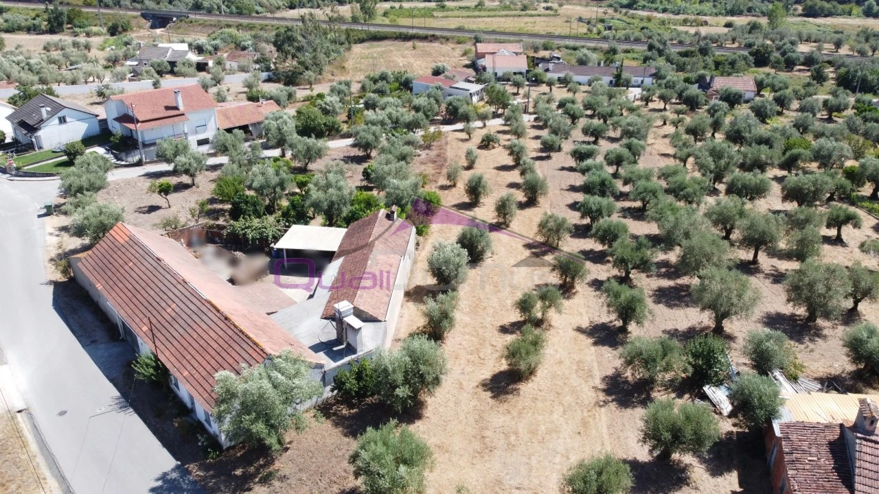 Terreno para Venda em Caxarias Foto 3