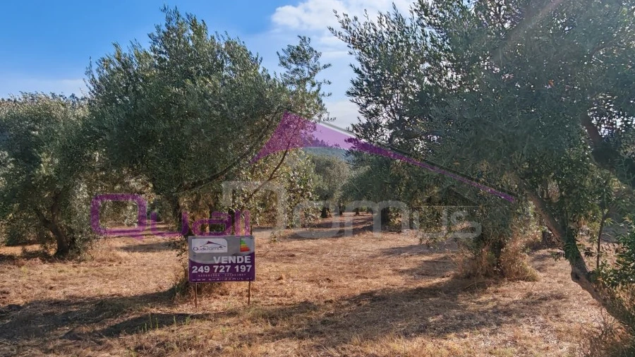 Terreno para Venda em Caxarias