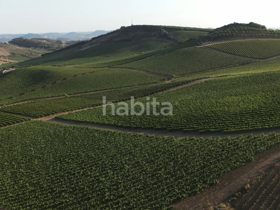 Apartamento T2 para Venda em Santa Maria, São Pedro e Matacães Foto 31
