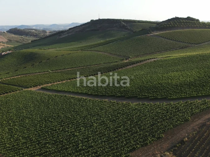 Apartamento T2 para Venda em Santa Maria, São Pedro e Matacães Foto 31