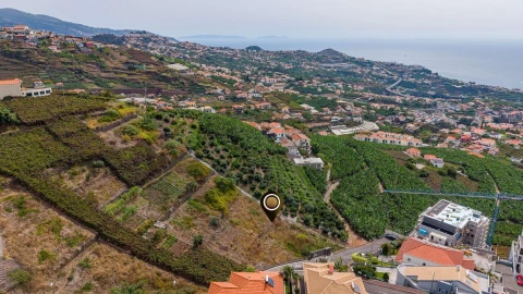 Terreno para Venda em Estreito de Camara de Lobos