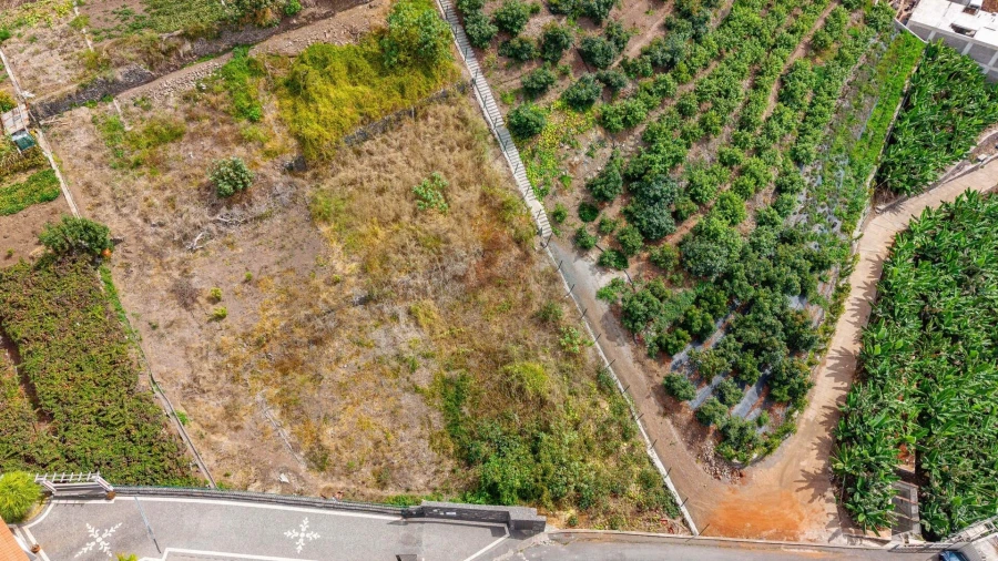 Terreno para Venda em Estreito de Camara de Lobos Foto 5