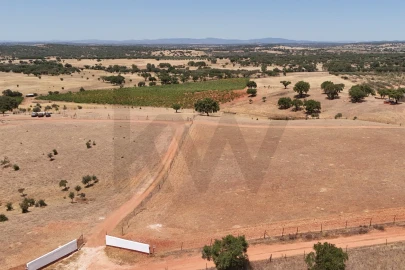Quinta T2 para Venda em Montoito