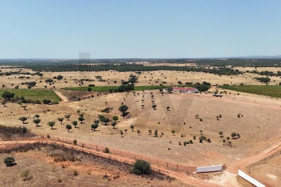 Quinta T2 para Venda em Montoito