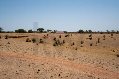Quinta T2 para Venda em Montoito