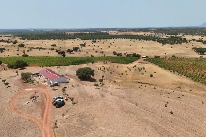 Quinta T2 para Venda em Montoito