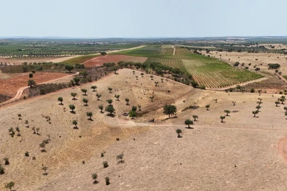 Quinta T2 para Venda em Montoito