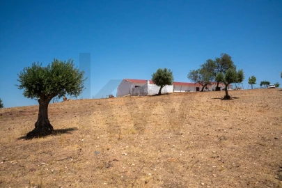 Quinta T2 para Venda em Montoito