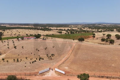 Quinta T2 para Venda em Montoito