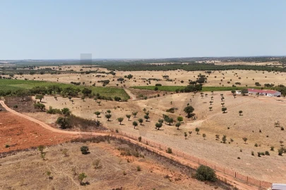 Quinta T2 para Venda em Montoito
