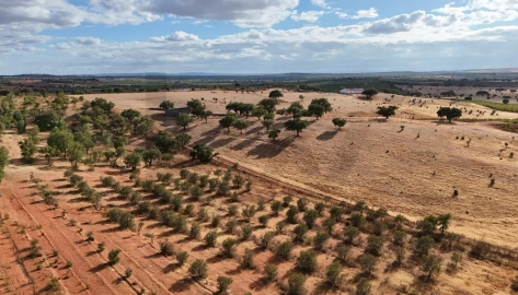 Quinta T2 para Venda em Montoito