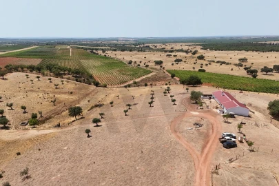 Quinta T2 para Venda em Montoito