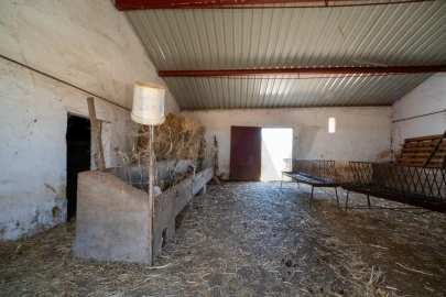 Quinta T2 para Venda em Montoito