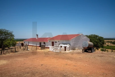 Quinta T2 para Venda em Montoito