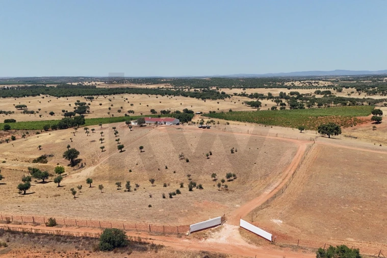 Quinta T2 para Venda em Montoito Foto 4