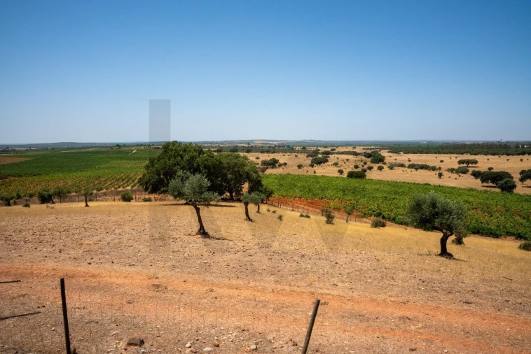 Quinta T2 para Venda em Montoito Foto 35