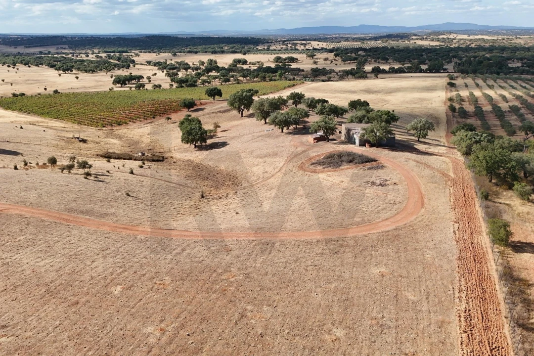 Quinta T2 para Venda em Montoito Foto 40