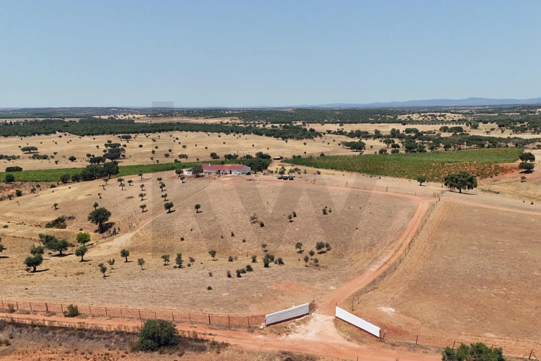 Quinta T2 para Venda em Montoito Foto 4