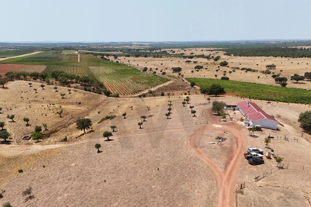 Quinta T2 para Venda em Montoito Foto 2