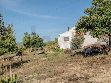 Moradia T2 para Venda em Olhalvo
