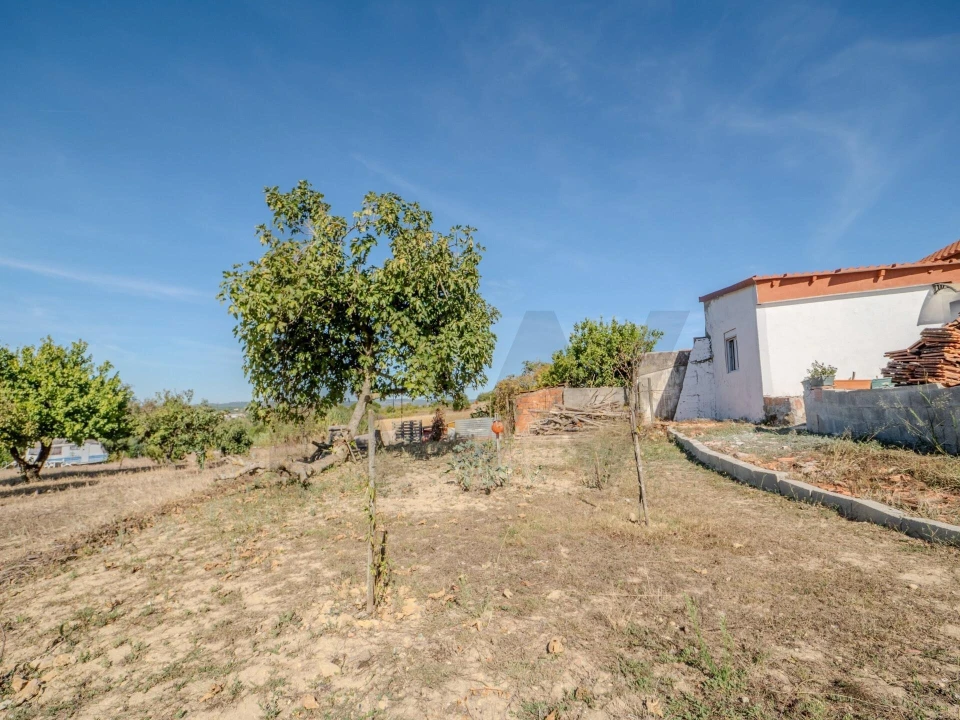 Moradia T2 para Venda em Olhalvo Foto 42